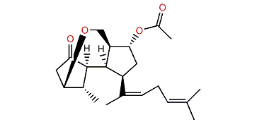 Dilophus ether